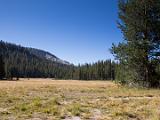 Yosemite 046